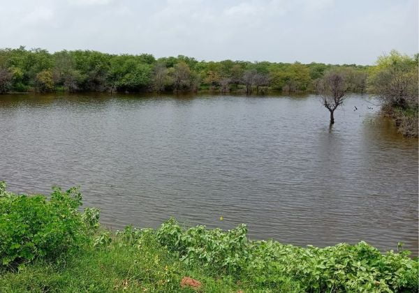 Water Conservation 42